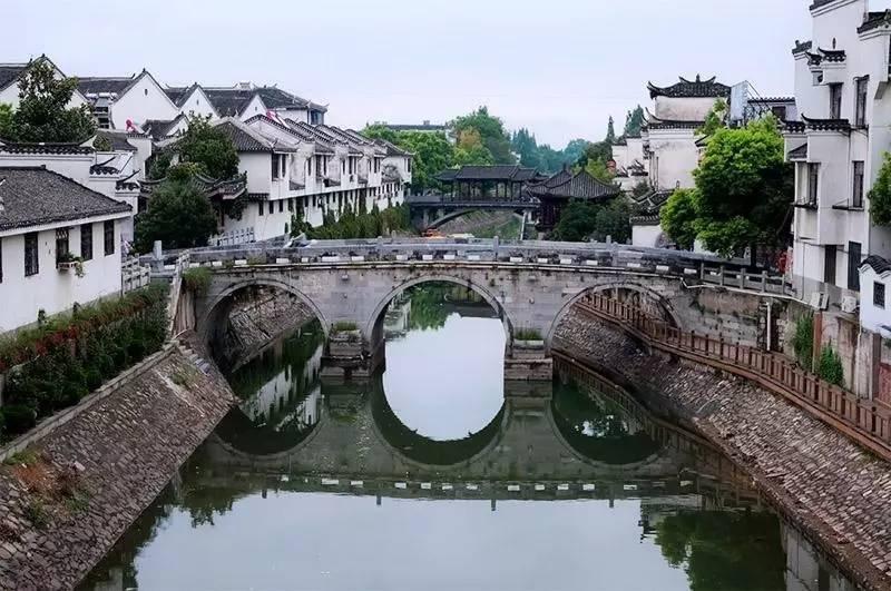 僵尸女友爱爬树